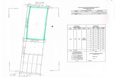 Teren 8700 mp, DN 13, b-dul Grivitei, PUZ-prestari servicii, hale, depozitare - 5