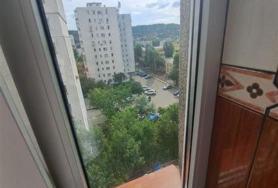 Apartament 2 Camere Mircea cel Batran - 430 euro - 14