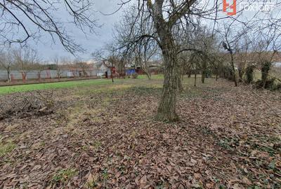 Apartament cu 5 camere de vanzare in Deta, zona Central - 17