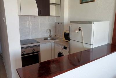 Apartament cu 1 cameră, zona Podu Ros - 3