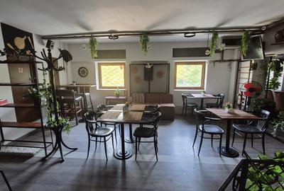 Restaurant, Delfinului, parc Ostrov - 5
