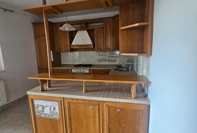Vila zona Valea Lupului - Pt locuit sediu firma - 14