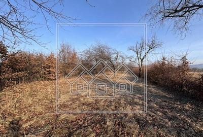 Teren agricol extravilan de 3204 mp, în Rășinari