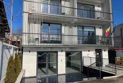 Spațiu comercial, 55 mp în Lipovei