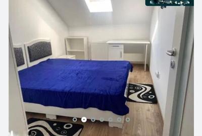 Apartament 3 camere Palas - 3