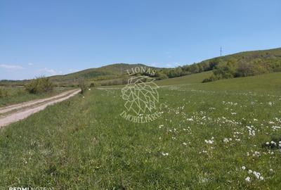 Teren agricol extravilan de 5400 mp, în Sărata