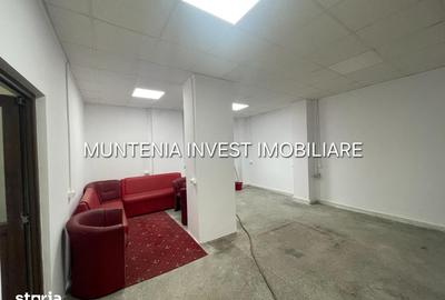 Hala 80 mp. + 100 mp. birouri, Prundu - 3
