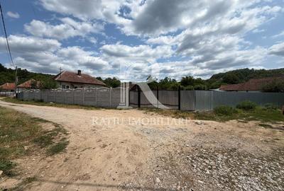 Casă individuală cu 2 camere în Stracoș