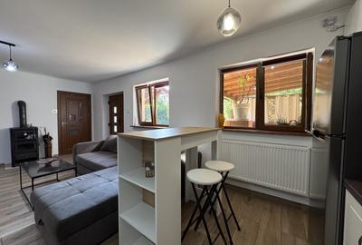 Casa parter, renovata, mobilata, gradina amenajata, str Petofi Sandor-Dumbravita - 19