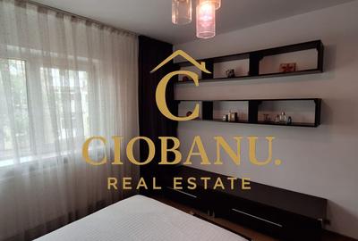 Apartament 3 camere DECOMANDAT etaj 2/4 de vanzare zona Lapus Arges - 11