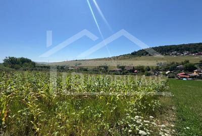Teren agricol intravilan de 1735 mp, în Remetea