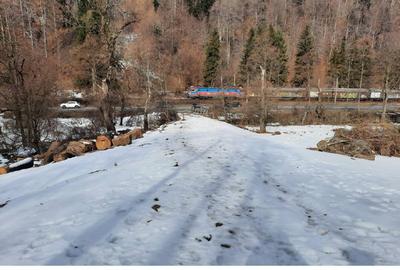 De vanzare teren intravilan 4.500 mp, Timisul de Jos, langa DN1 si PETROM - 7