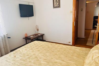 Apartament ultracentral, 3 camere, cu priveliste impresionanta, langa Mercur - 6