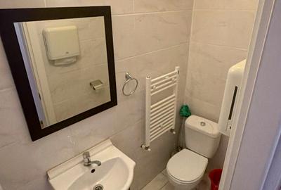 Banu Manta, liceu Ion Neculce, de inchiriat apartament la parter + curte! - 14