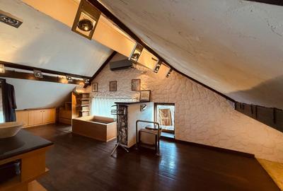 Vanzare Vila  Iancu de Nicolaie - 7