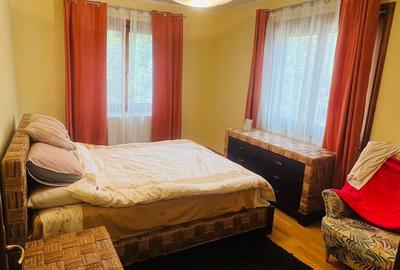 VILĂ ELEGANTĂ DE VÂNZARE LÂNGĂ BĂILE HERCULANE - 11