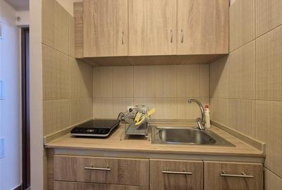 Apartament 2 camere Ultracentral Universitate - 15