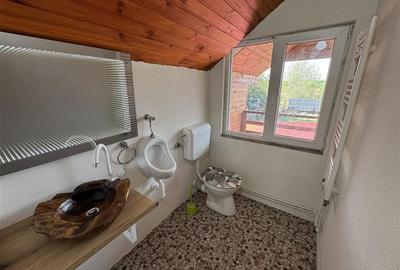 Casa 4 camere + 8418 mp de teren - 14
