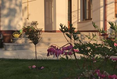 Conac neoromânesc în stil brâncovenesc | 600 mp utili | Domeniu de 2.400 mp - 5