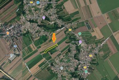 Palanca - Floresti - Stoenesti, Jud. Giurgiu, teren 4700 mp, utilitati - 3