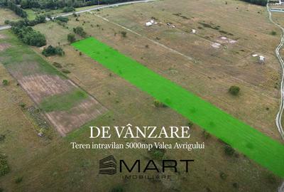 Teren de 5000 mp, în Avrig