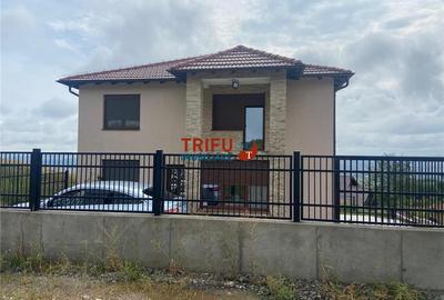 Casă individuală cu 7 camere în Cetate