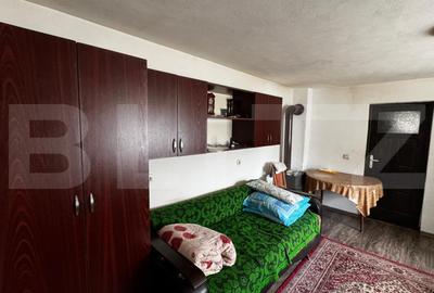 Casă individuală cu 3 camere în Sebeș