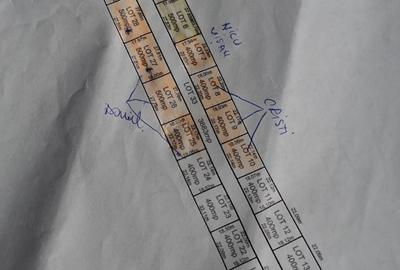 Terenuri de vânzare în localitatea Dârza–oportunitate excelentă pentru investie - 2