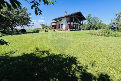 Casa de vacanta de vânzare Cornetu -Mihailesti - 26