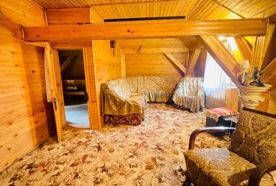 Casa spatioasa cu teren 739 mp in zona Mehala - 15