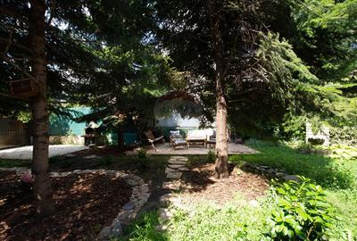 Casa de vanzare 483mp suprafata totala si teren 494mp, Sector 1 - 34