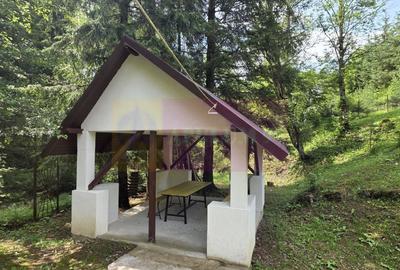 Vila din padure in Valea Doftanei - 44