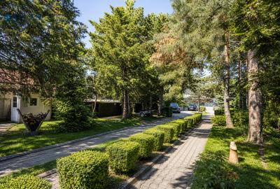 Vilă exclusivistă pe malul Lacului Snagov | Complet renovata | 2.950 mp teren - 5