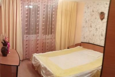 3 camere - Teiul Doamnei - Otesani - 2