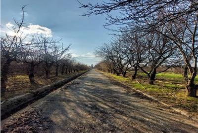 Teren Construcții intravilan de 330000 mp, în Est