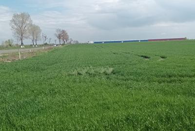 DN 2, stradal, Șindrilița, 2500/75, bun benzinarie, hala, showroom, etc, 25 e/mp - 3