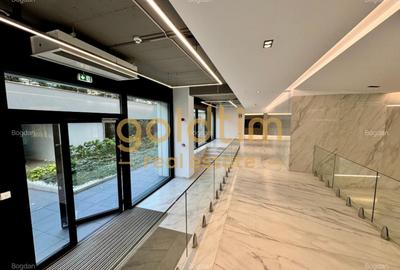 NOU / ONE TIMPURI NOI / TERASA 35MP - 9