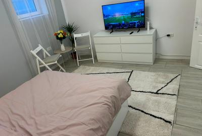 Dacia - Eminescu - Apartament 3 camere demisol/2 etaje - renovat-centrala termic - 9