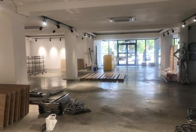 Spațiu comercial, 250 mp în Vitan
