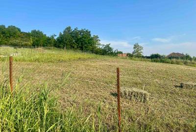 Teren intravilan 1529mp Valea Lupului zona de case la 1,3km de europeana - 7