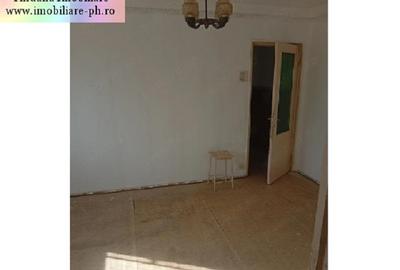 Apartament 3 camere de vanzare : Malu Rosu - 3