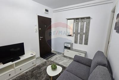 Apartament cu 1 camere de închiriat în zona Darmanesti - 7
