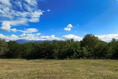 Teren la padure de vanzare Talmaciu Podu Olt - 2