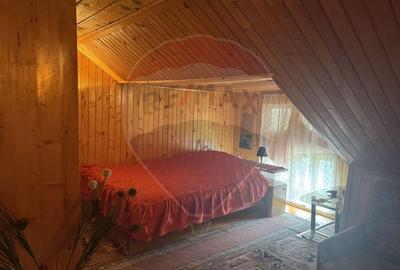 Cabana autentica de munte Frasinet - Baisoara 600 mp teren - 21