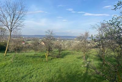 Teren cu suprafata generoasa, situat in zona linistita, la 15 minute de Ploiesti - 1