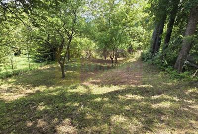 Teren exclusivist pentru dezvoltare imobiliară – Zona Furnica, Sinaia - 4