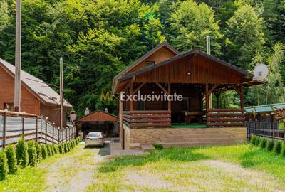 Splendoarea naturii imbinata cu stilul modern=pensiune exclusivista - 26