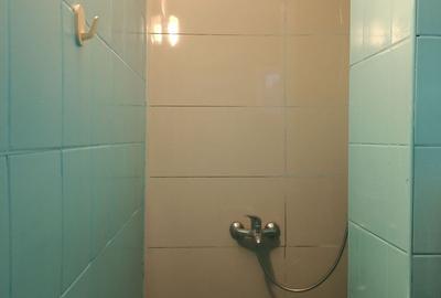 Apartament 2 camere ,etaj 3,Parcul Tabacariei - 5