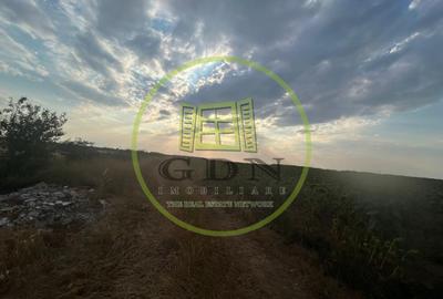 Teren Construcții intravilan de 9500 mp, în Cârcea