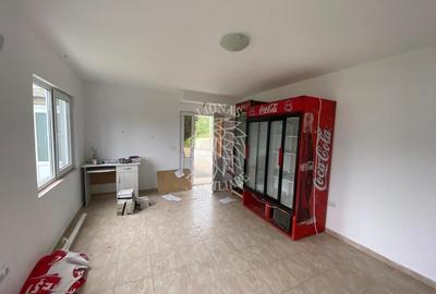 Imobil cu magazin 75 mp-teren 200 mp-Oportunitati Business-Colibita - 4